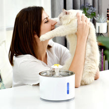 Load image into Gallery viewer, Automatic Pet Cat Water Fountain, 2.4L
